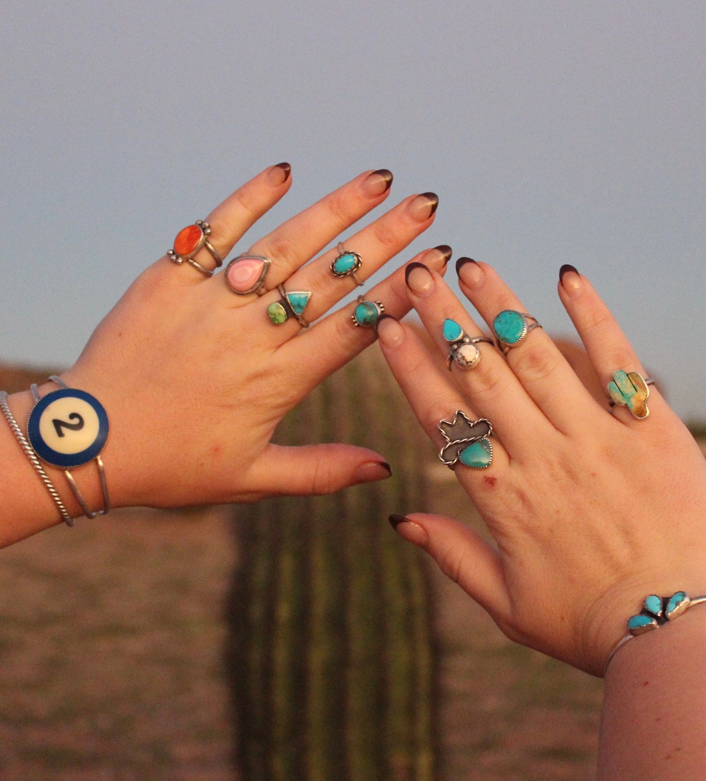 Sonoran Gold & Kingman Turquoise Ring